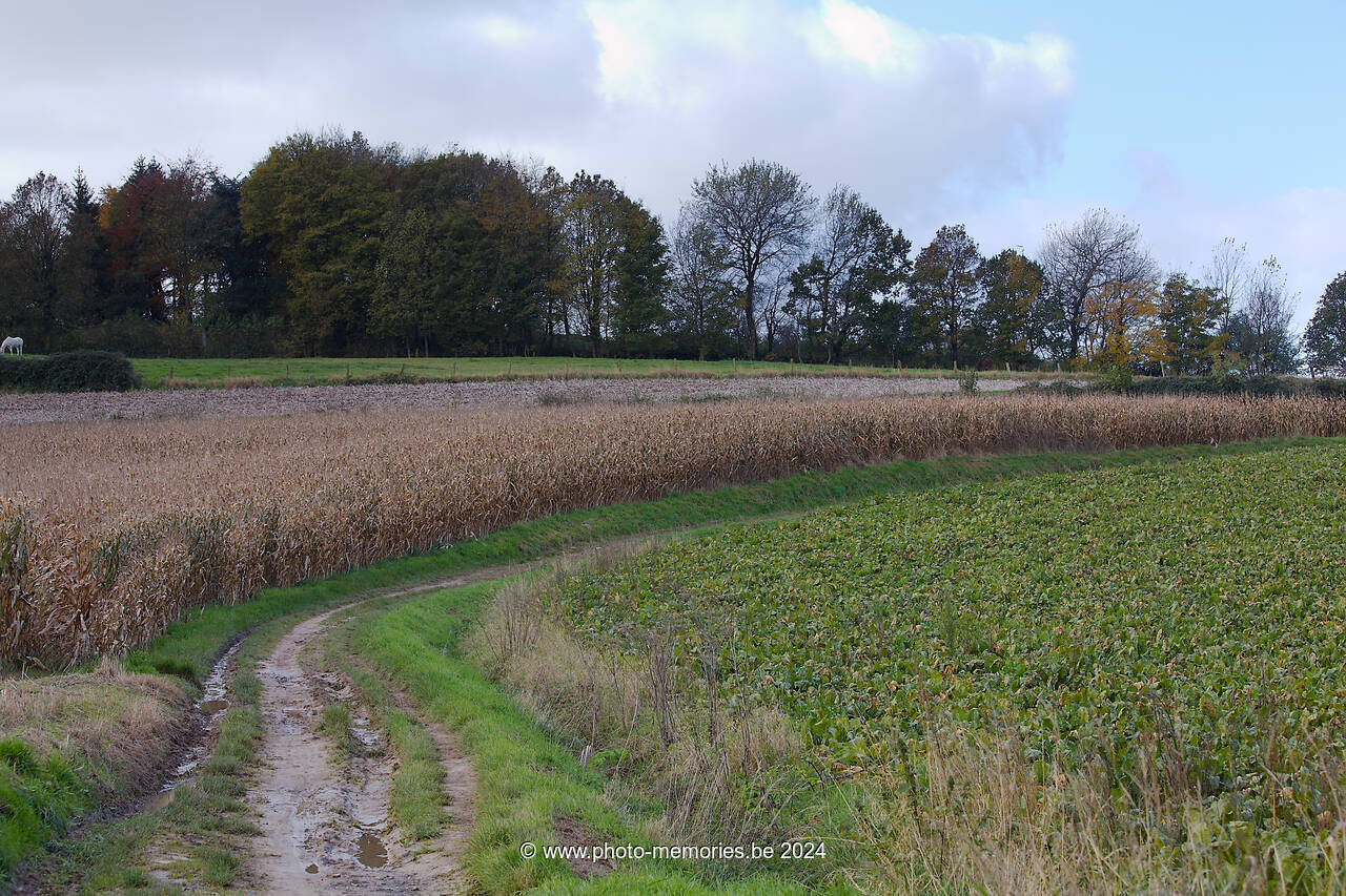 2012-11-07-0106.jpg