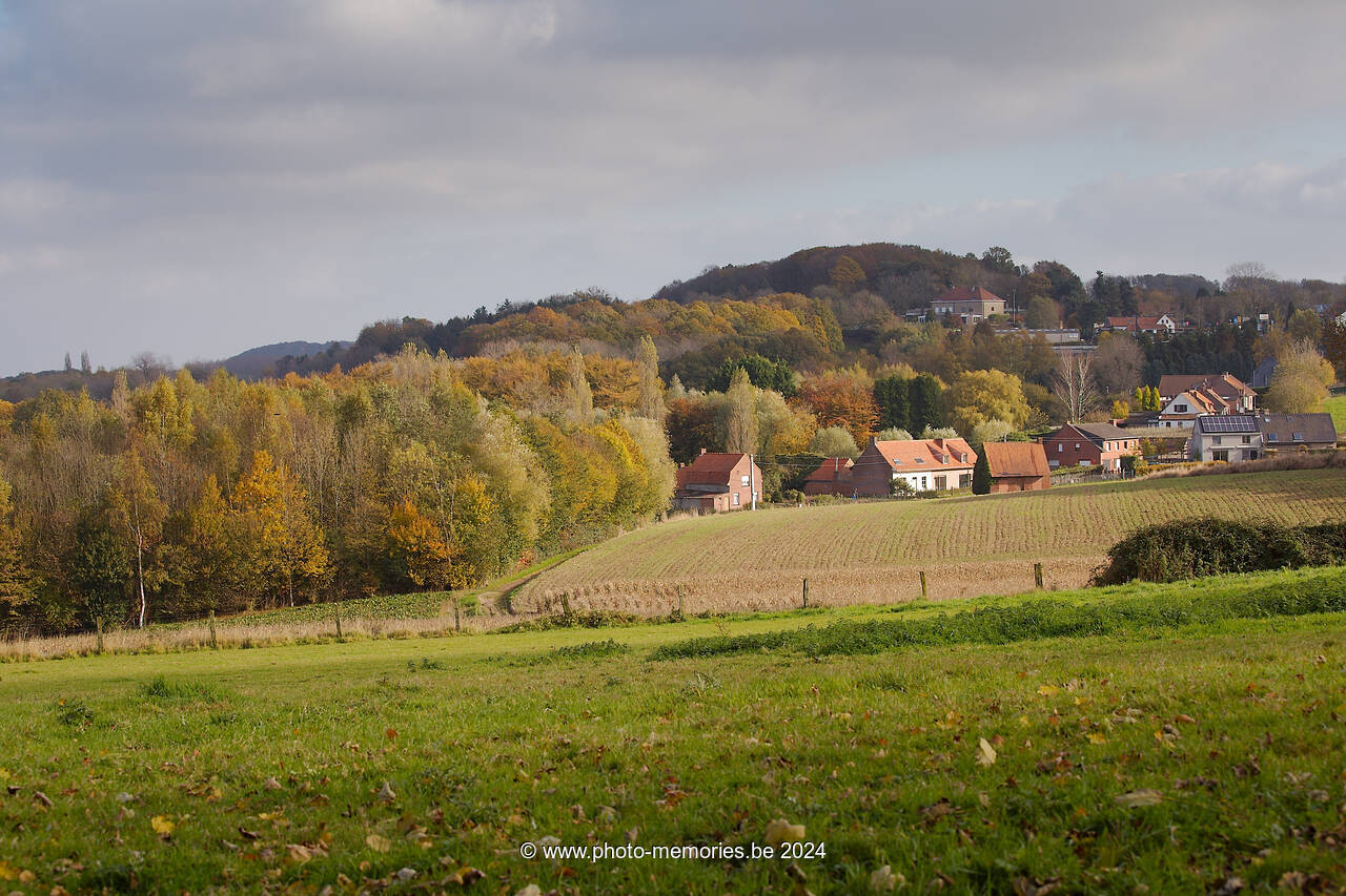 2012-11-07-0107.jpg