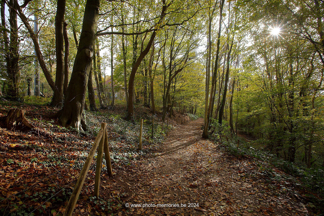 2012-11-07-0108.jpg