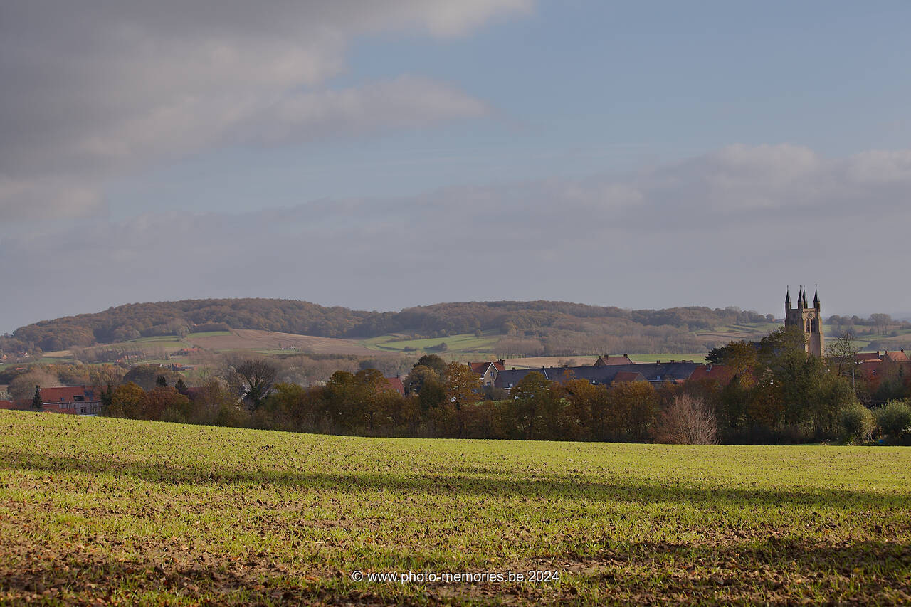 2012-11-07-0111.jpg