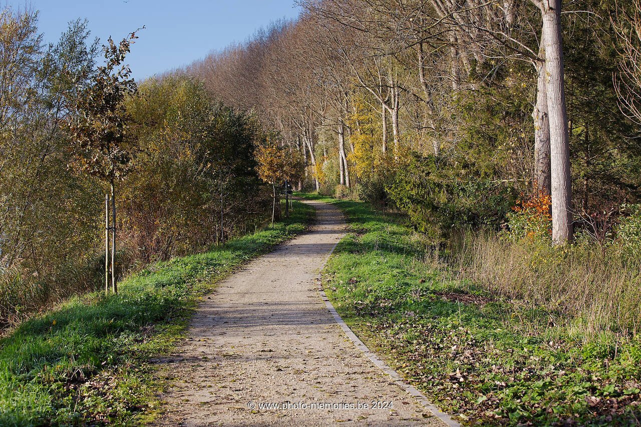 2012-11-11-0032.jpg