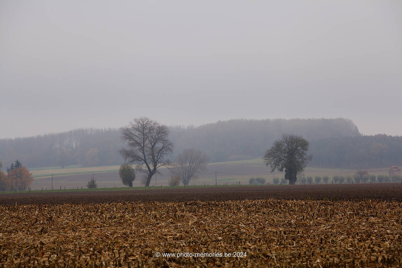 2012-11-11-0038.jpg