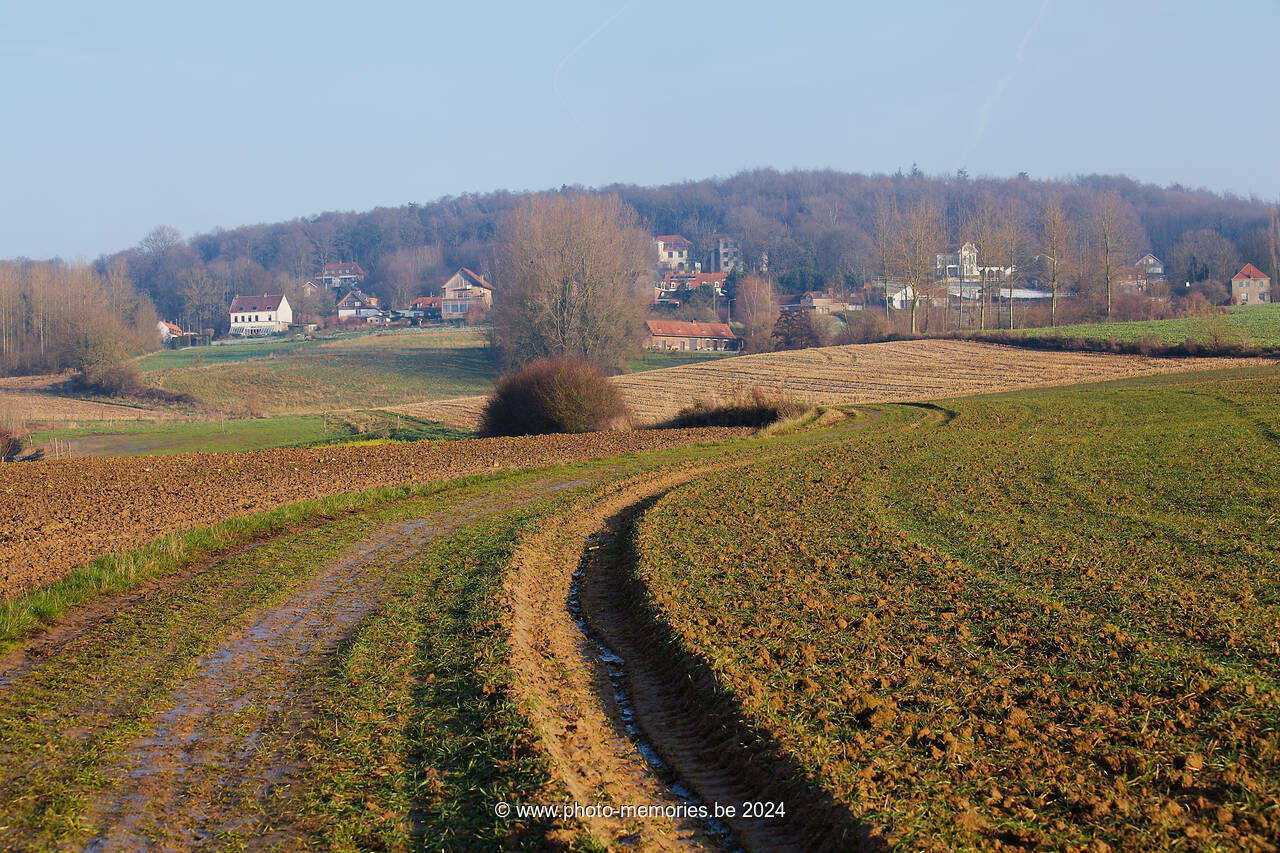 2012-12-08-0151.jpg