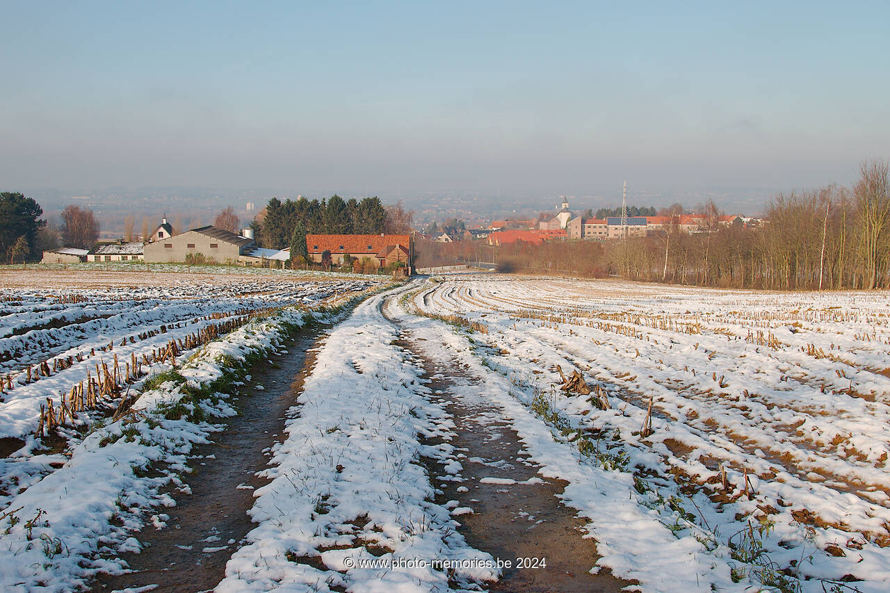 2012-12-08-0158.jpg
