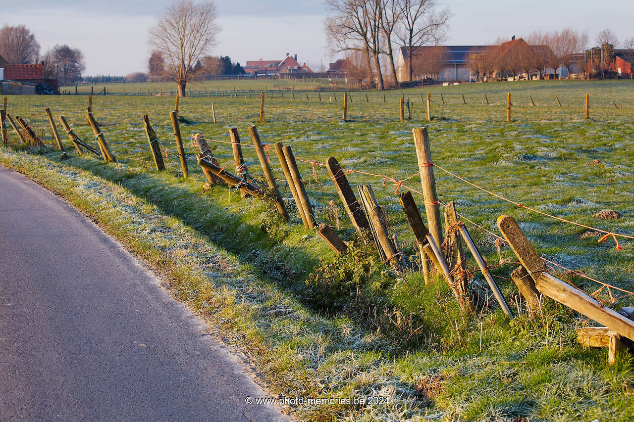 2012-12-12-0005.jpg