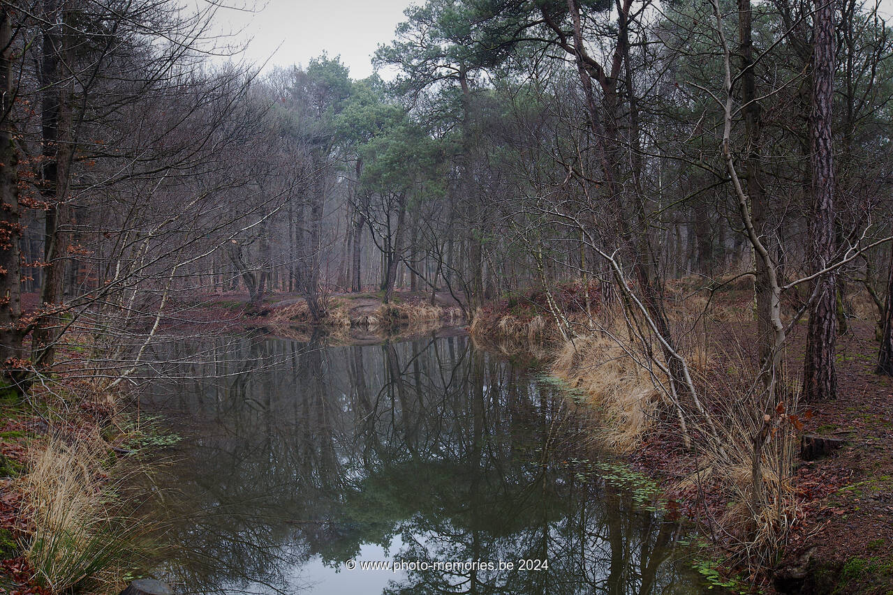 2013-01-05-0011.jpg