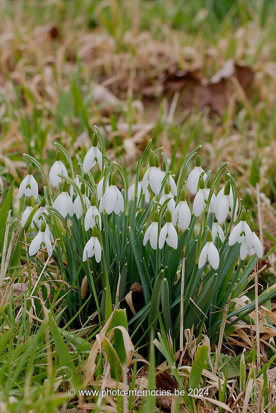 2013-03-03-0016.jpg