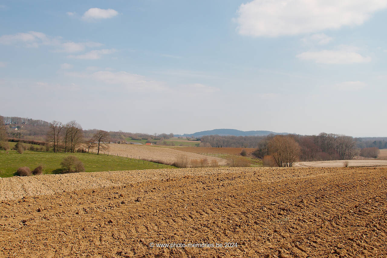 2013-04-07-0016.jpg