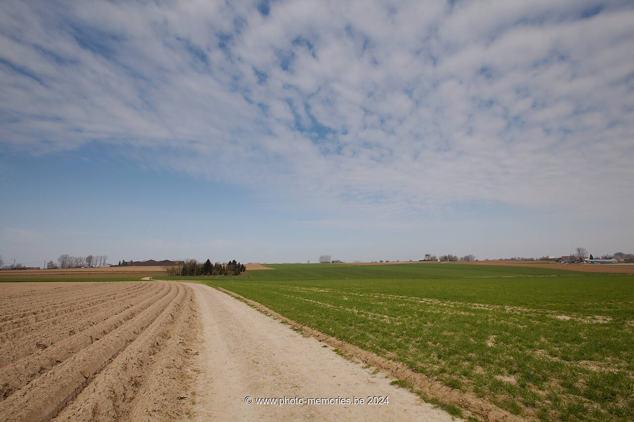 2013-04-21-0011.jpg