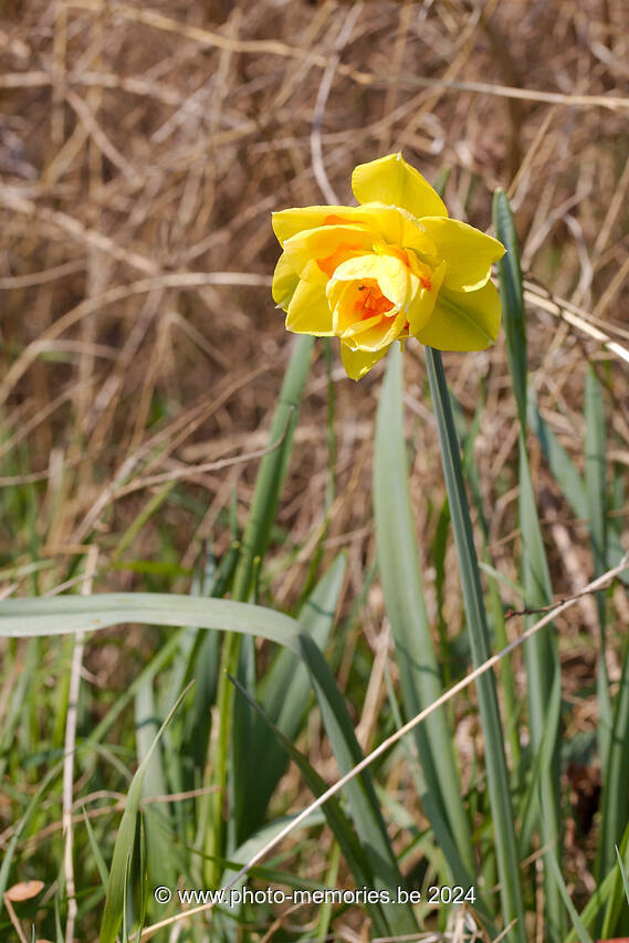 2013-04-21-0023.jpg