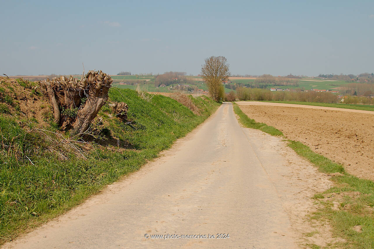 2013-04-21-0027.jpg