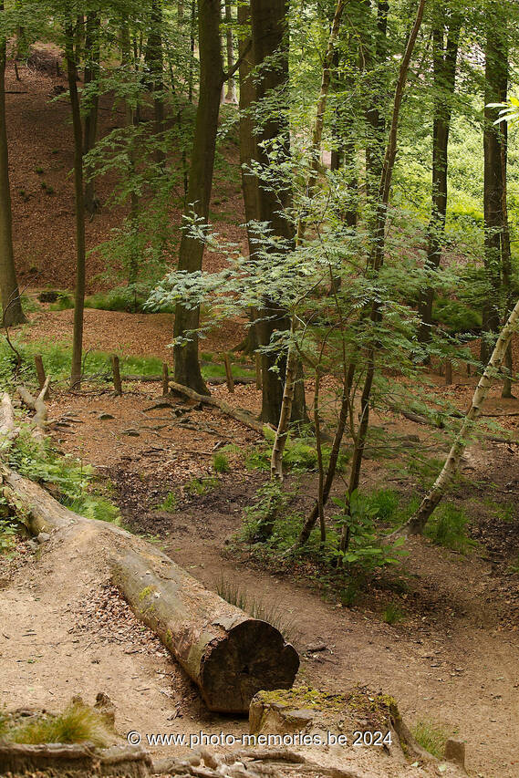 2013-06-09-0006.jpg