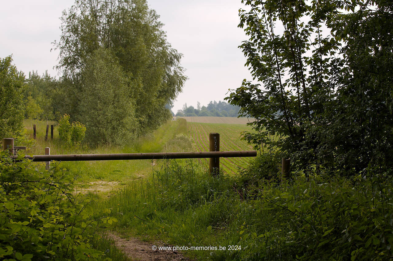 2013-06-09-0014.jpg