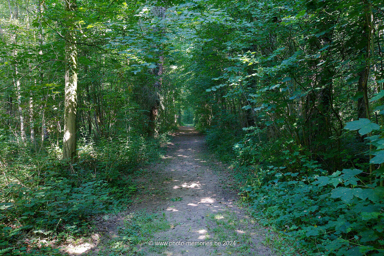 2013-07-21-0010.jpg