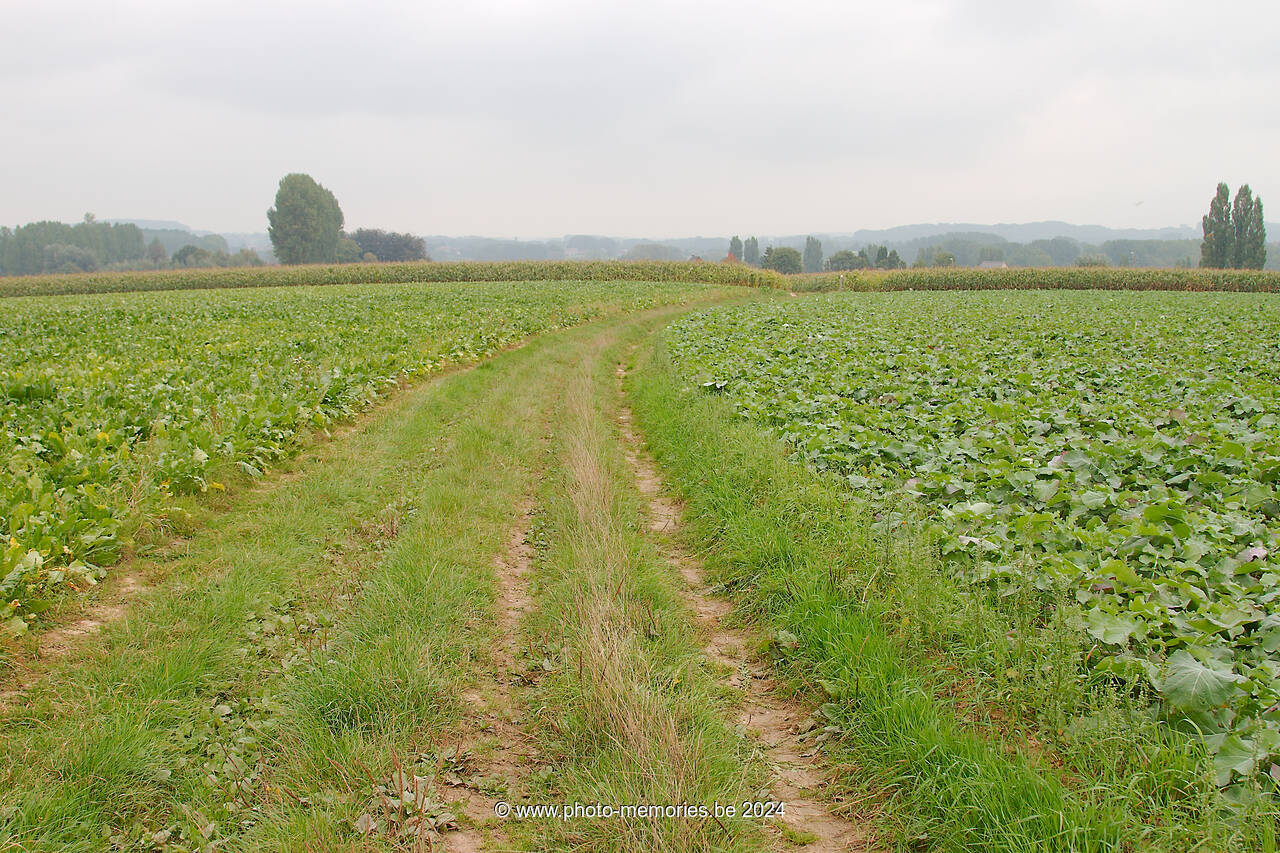 2013-10-05-0007.jpg