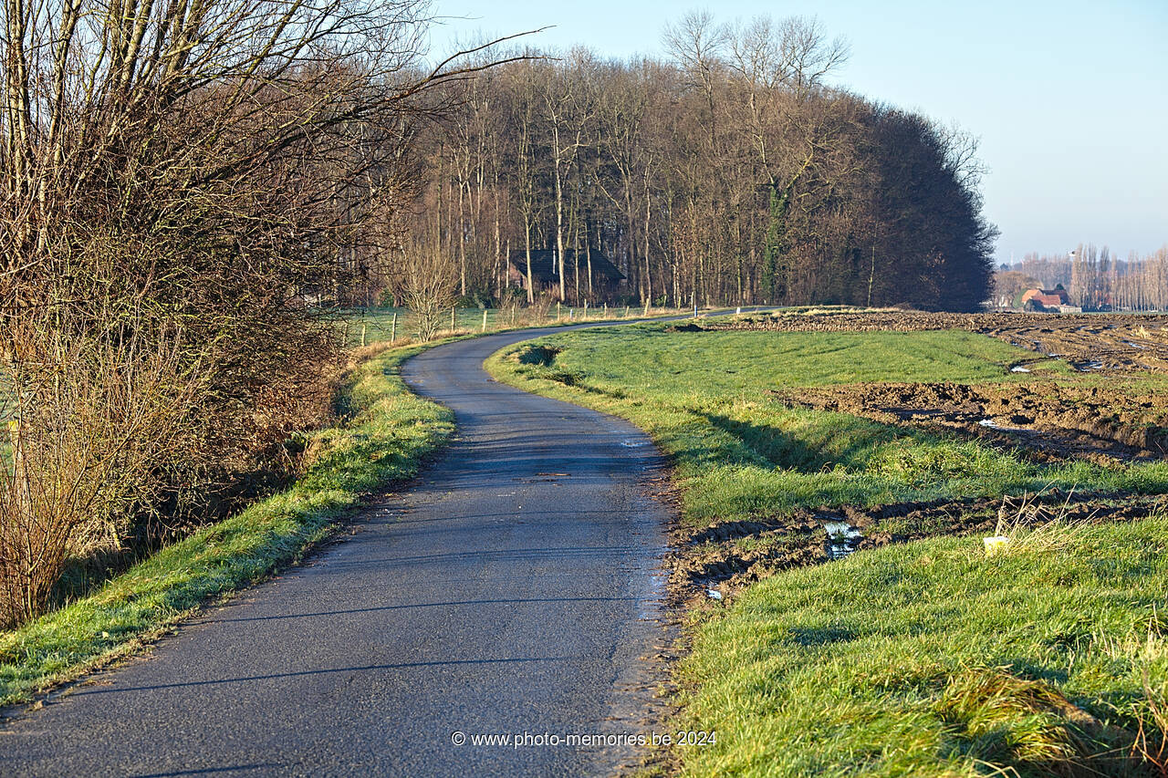 2013-12-29-0004.jpg