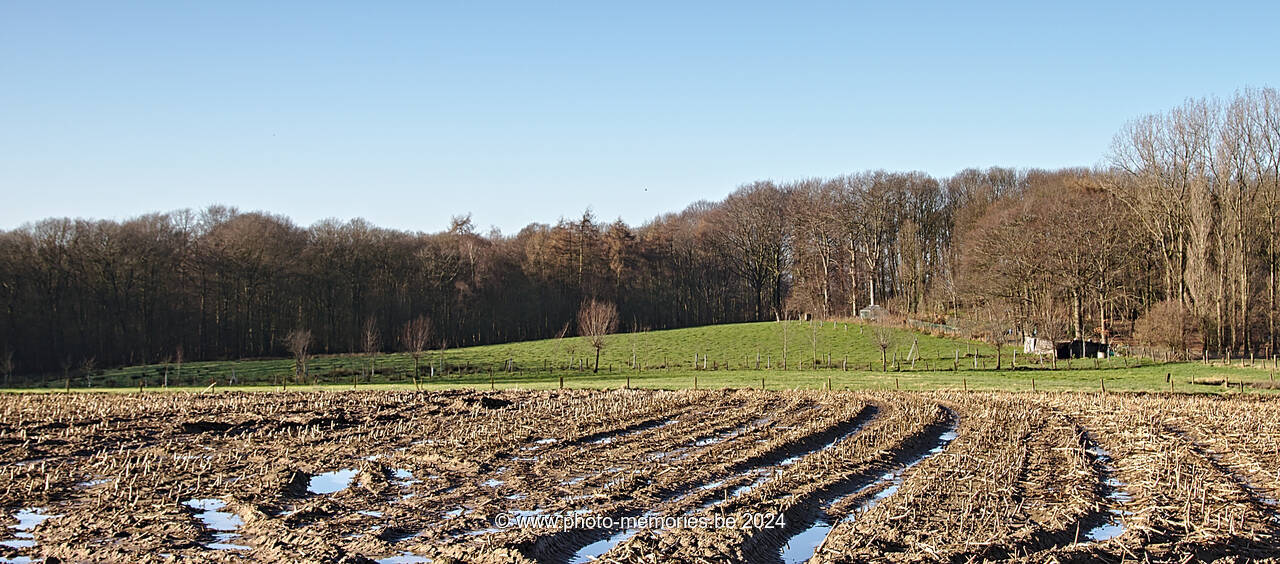 2013-12-29-0016.jpg