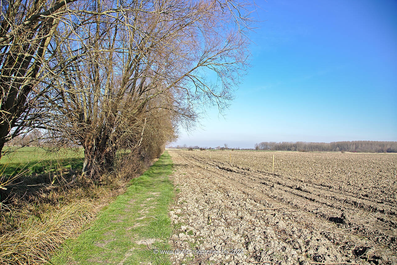 2015-03-08-0007.jpg