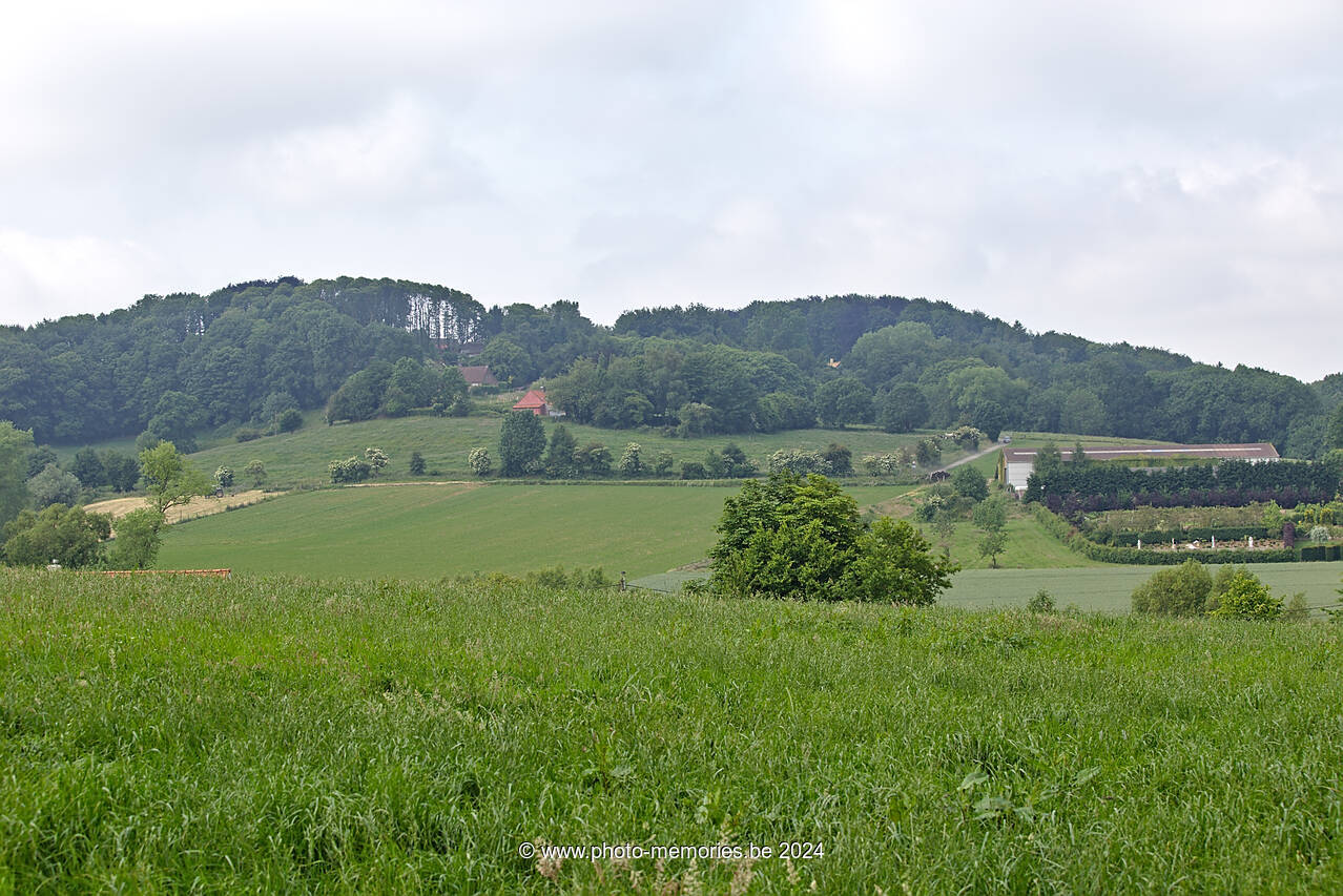 2015-06-14-0003.jpg