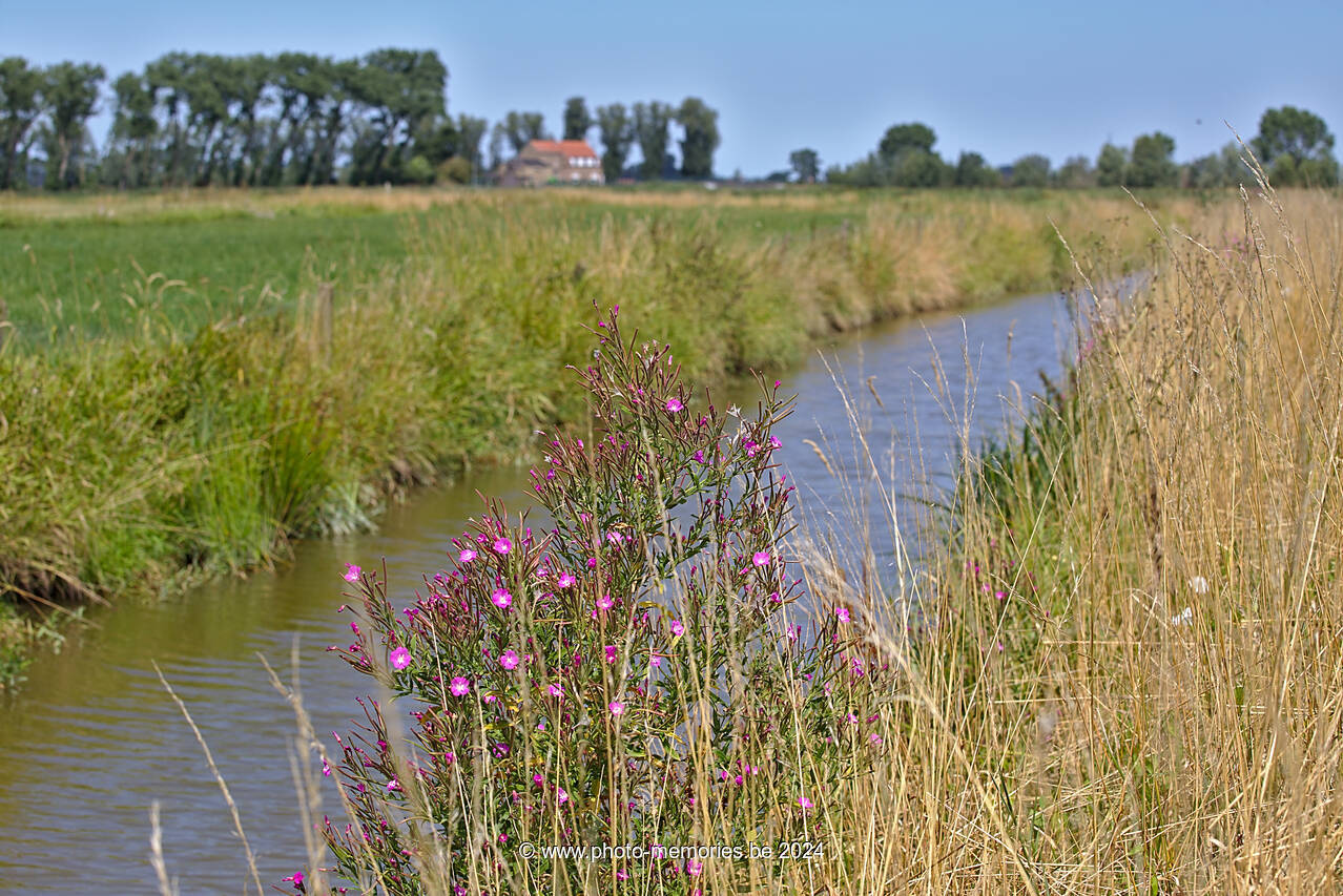 2015-08-08-0006.jpg