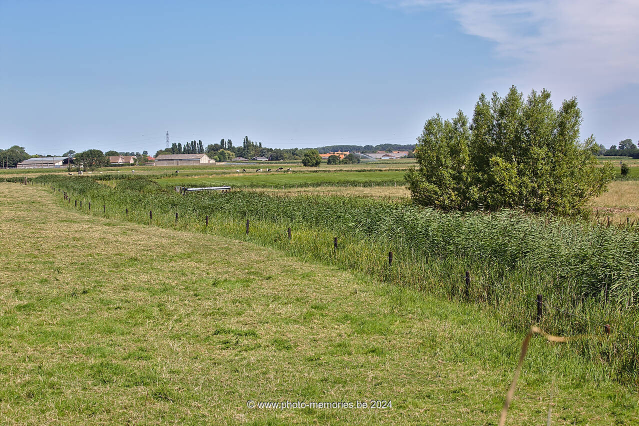 2015-08-08-0008.jpg