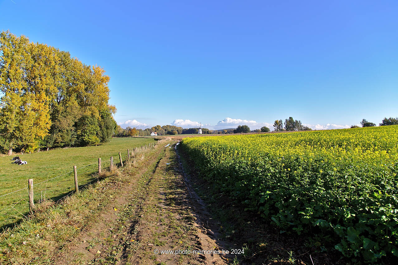 2016-10-22-0011.jpg