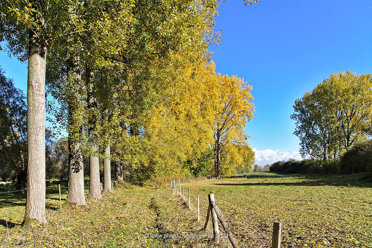 2016-10-22-0016.jpg