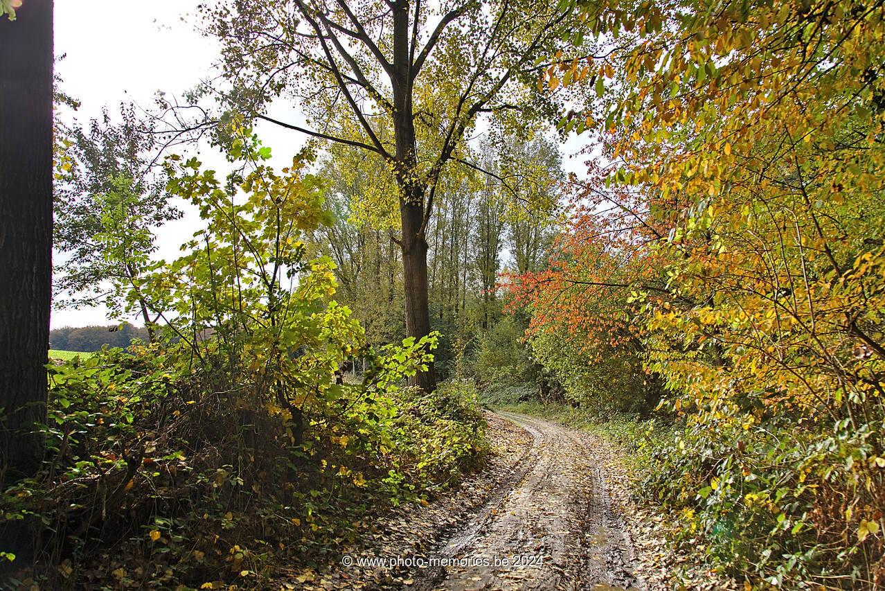 2016-10-22-0019.jpg