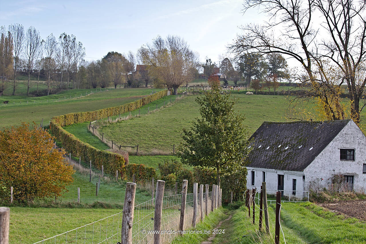 2020-11-07-0004.jpg