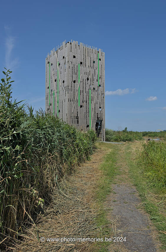 2023-07-21-0003.jpg