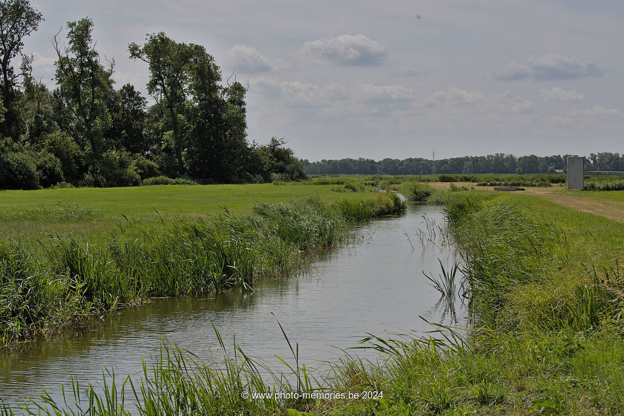 2023-07-21-0007.jpg