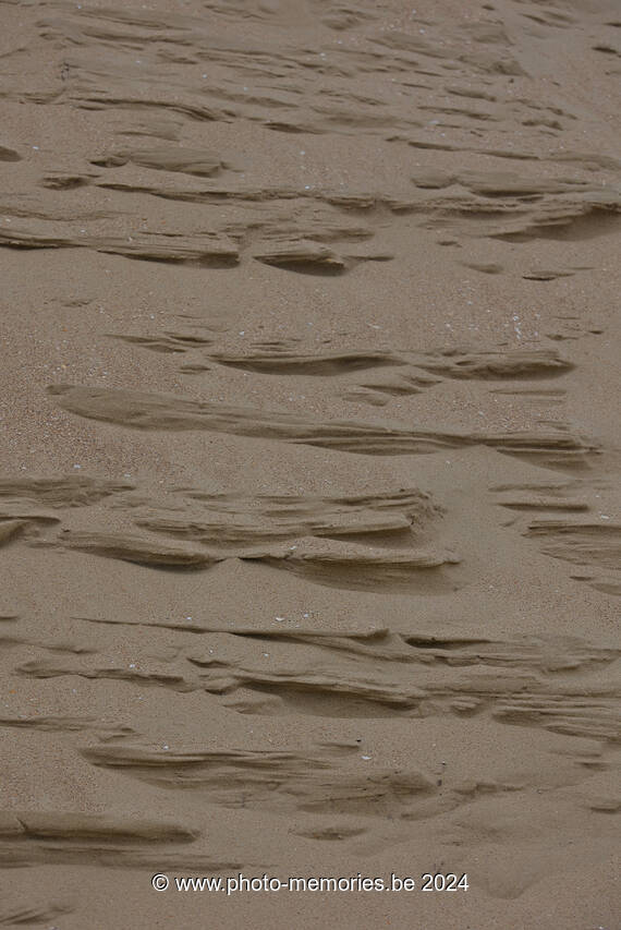 2024-02-03-0005.jpg