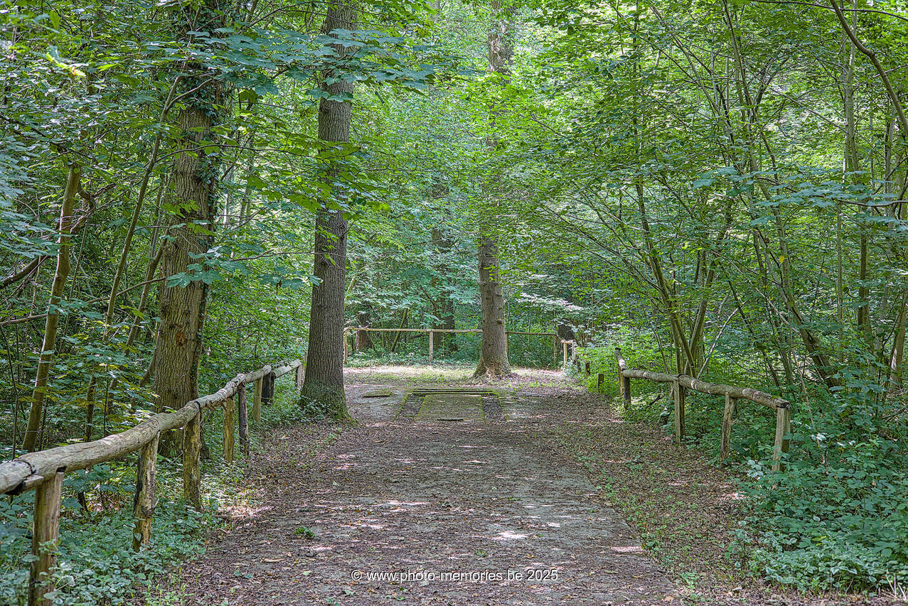 2025-07-26-0012.jpg