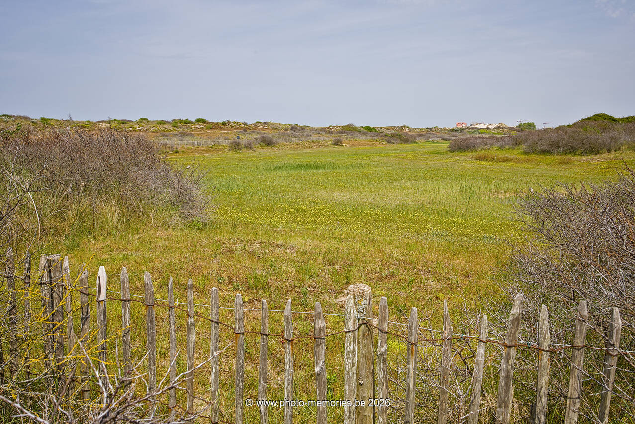 2026-05-30-0007.jpg