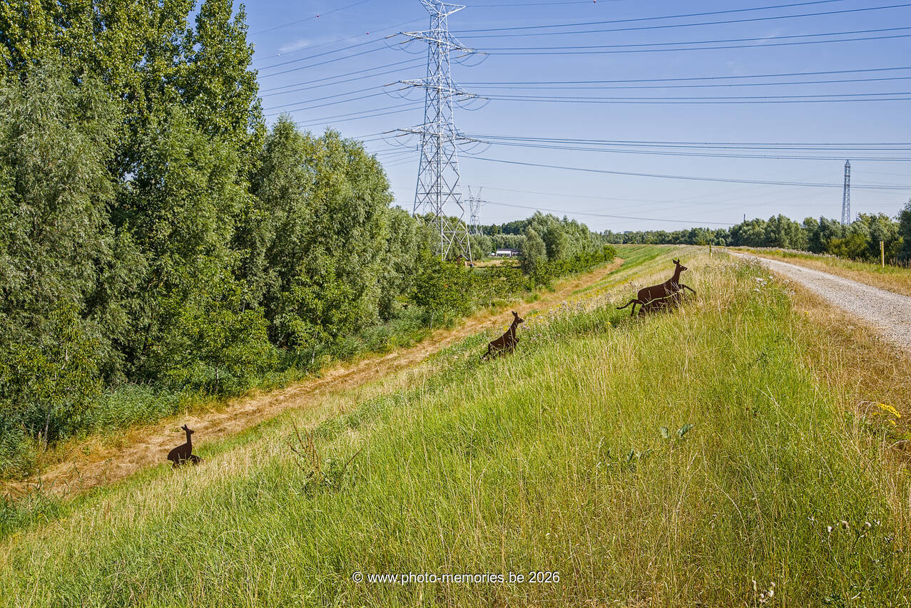 2026-08-08-0001.jpg