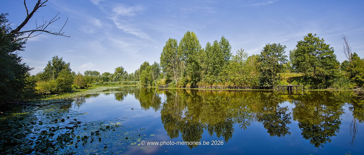 2026-08-08-0009.jpg