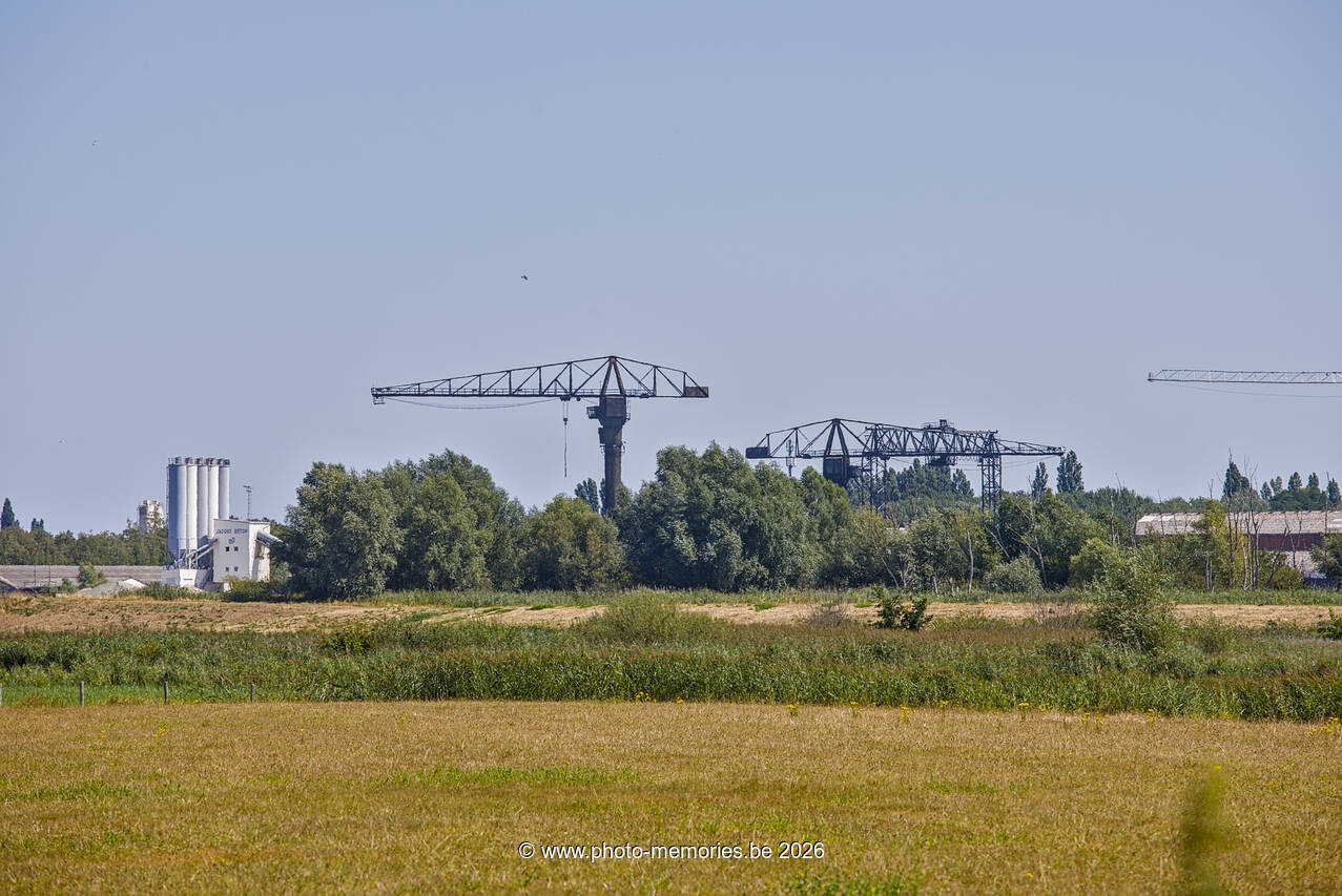 2026-08-08-0012.jpg