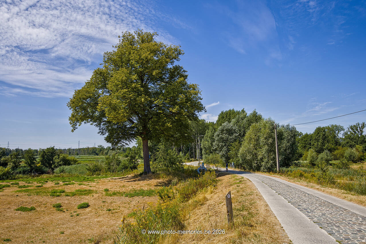 2026-08-08-0014.jpg