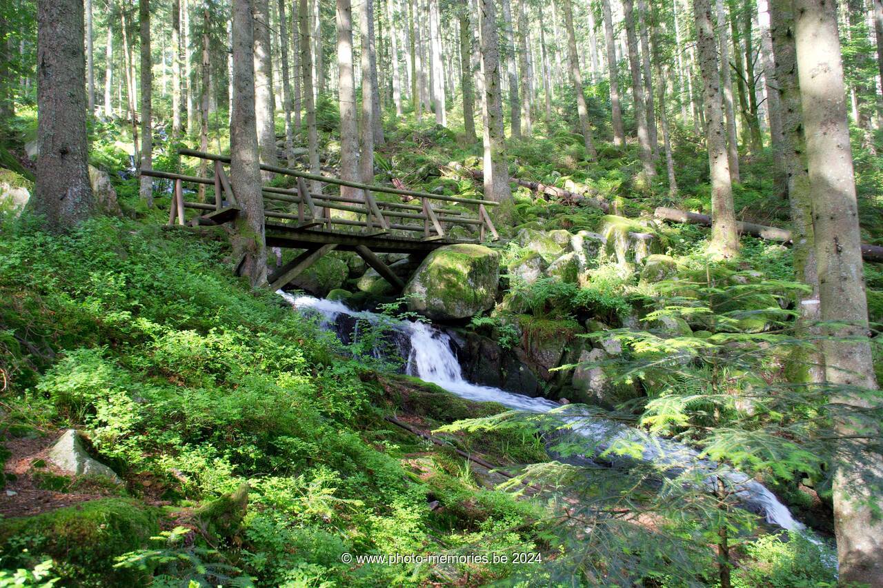 2007-05-26-0005.jpg