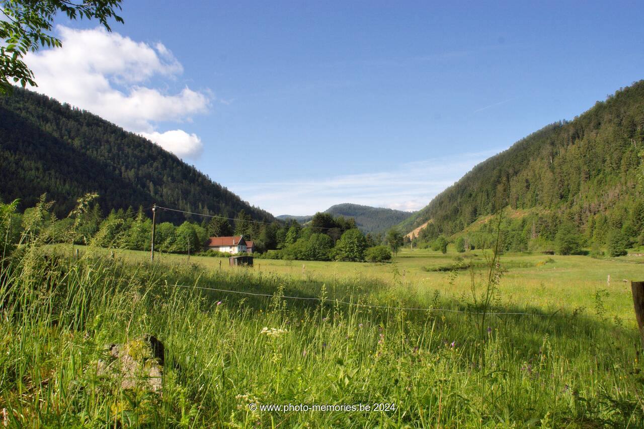 2007-05-30-0053.jpg