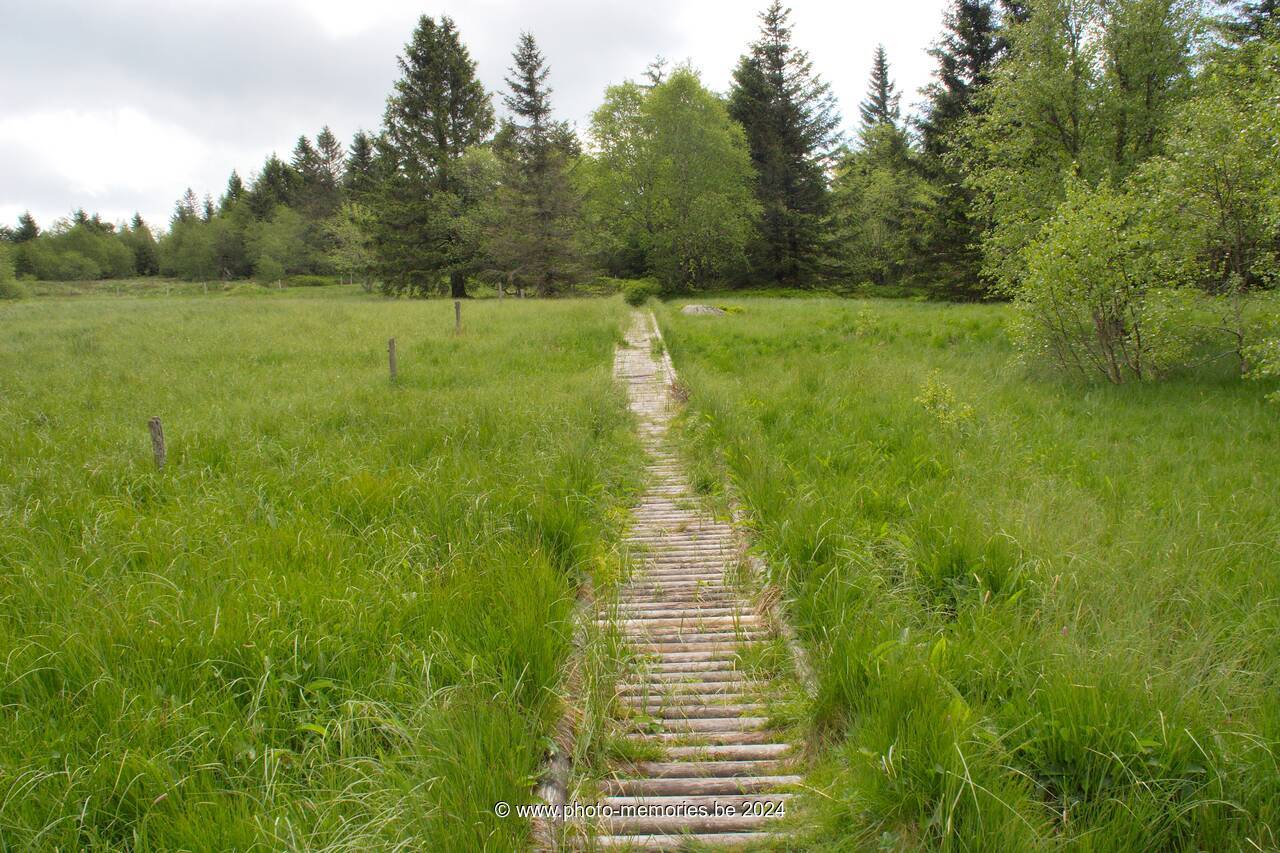 2007-05-30-0058.jpg