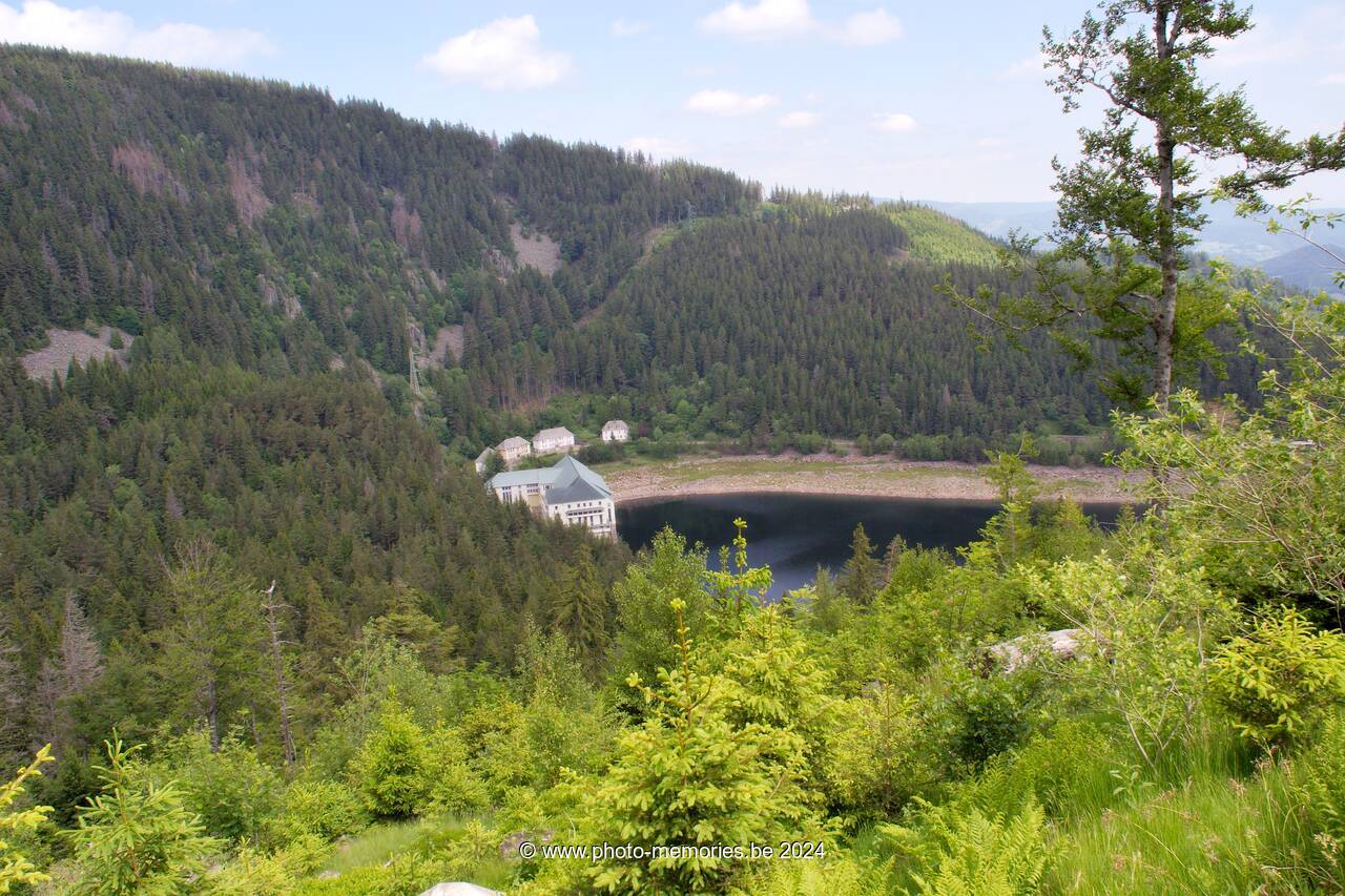 2007-05-30-0061.jpg