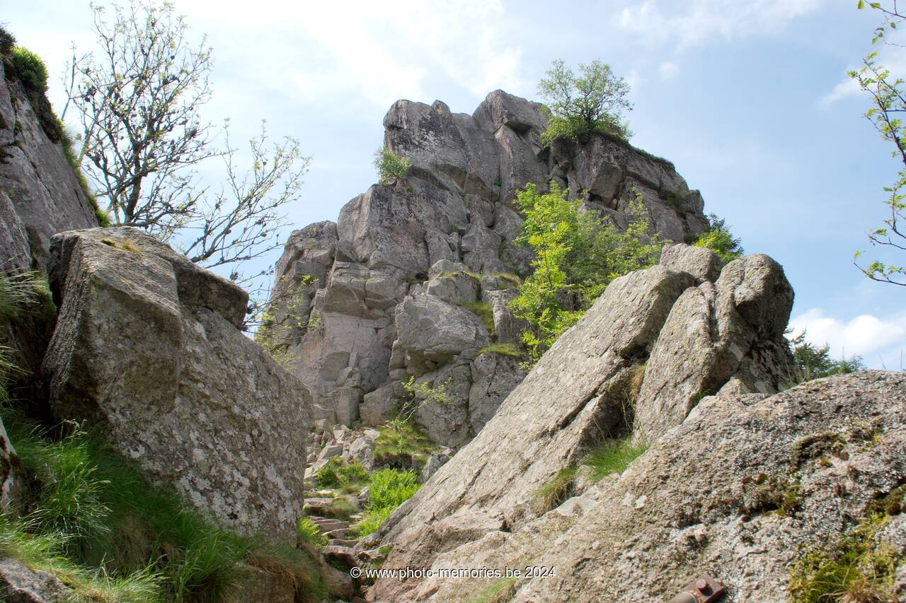 2007-05-30-0068.jpg