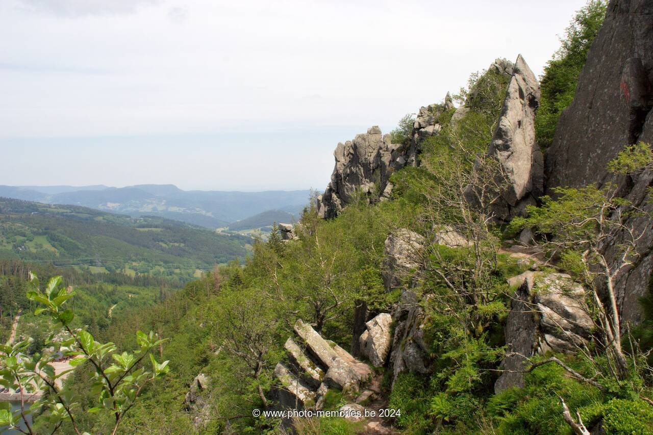 2007-05-30-0070.jpg