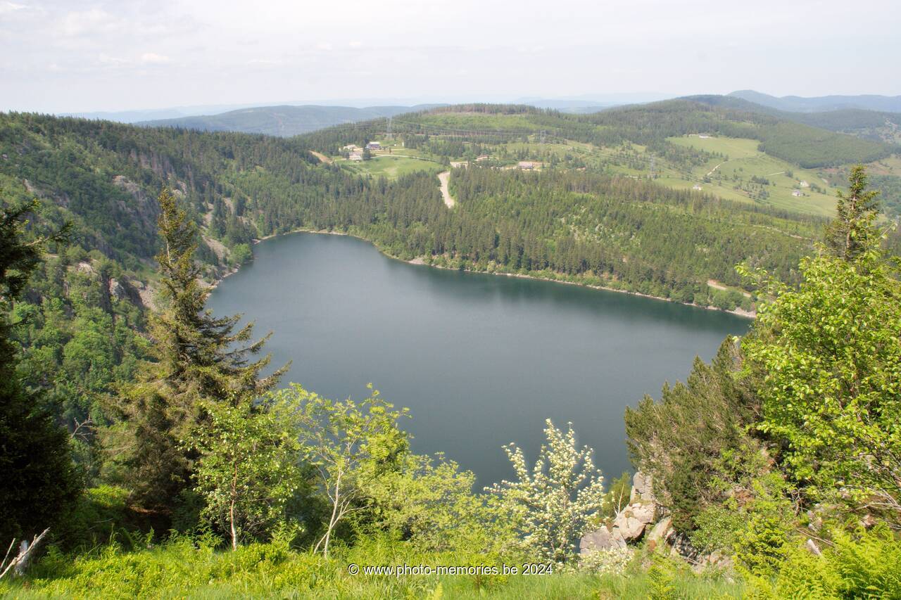 2007-05-30-0077.jpg