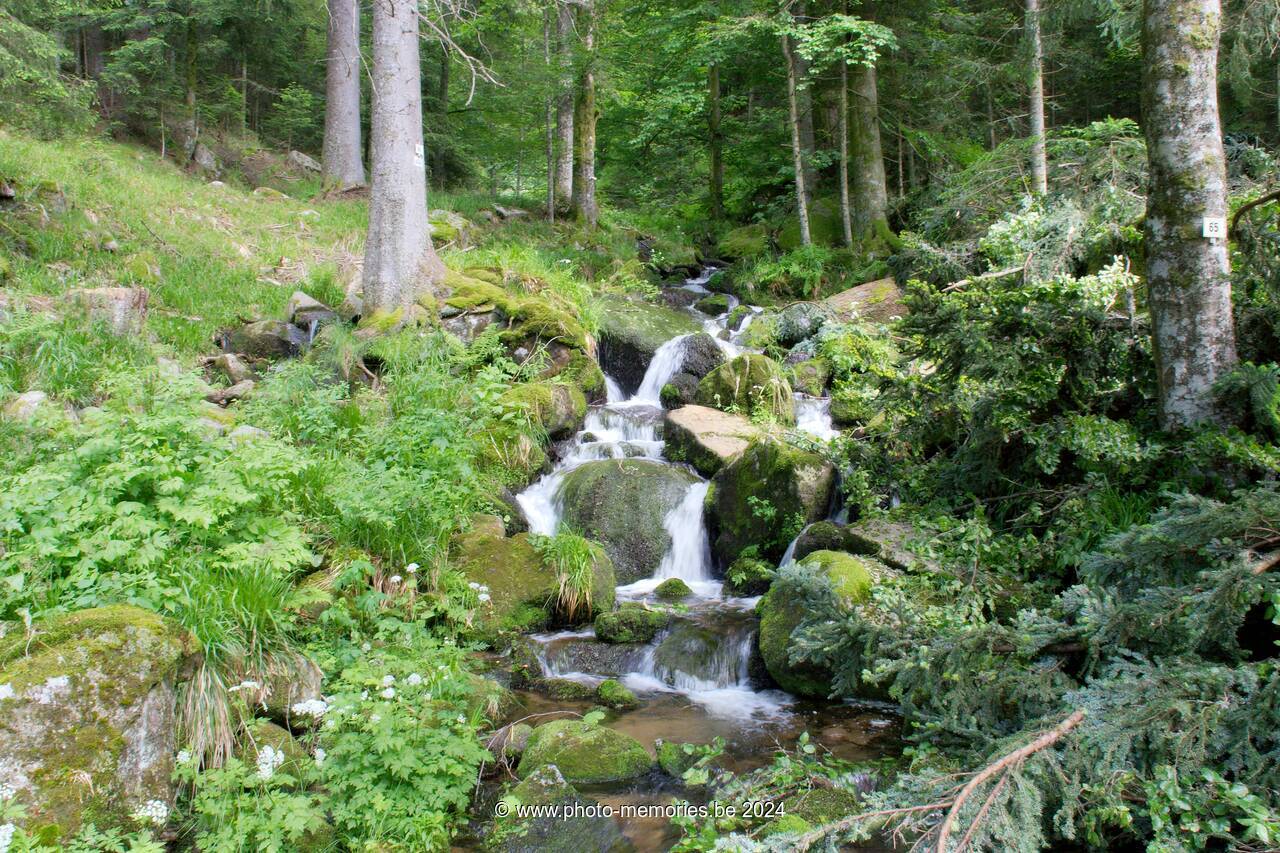 2007-05-30-0078.jpg