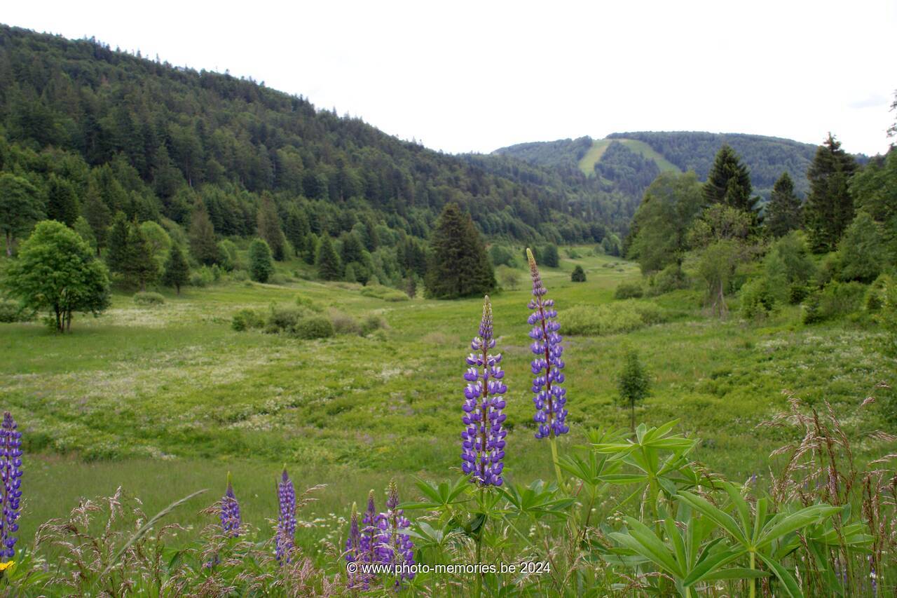 2007-05-31-0092.jpg