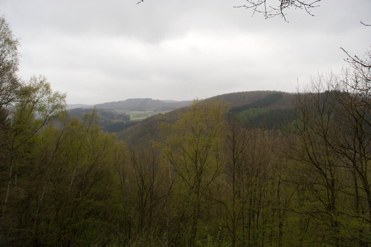 2008-04-25-0004.jpg