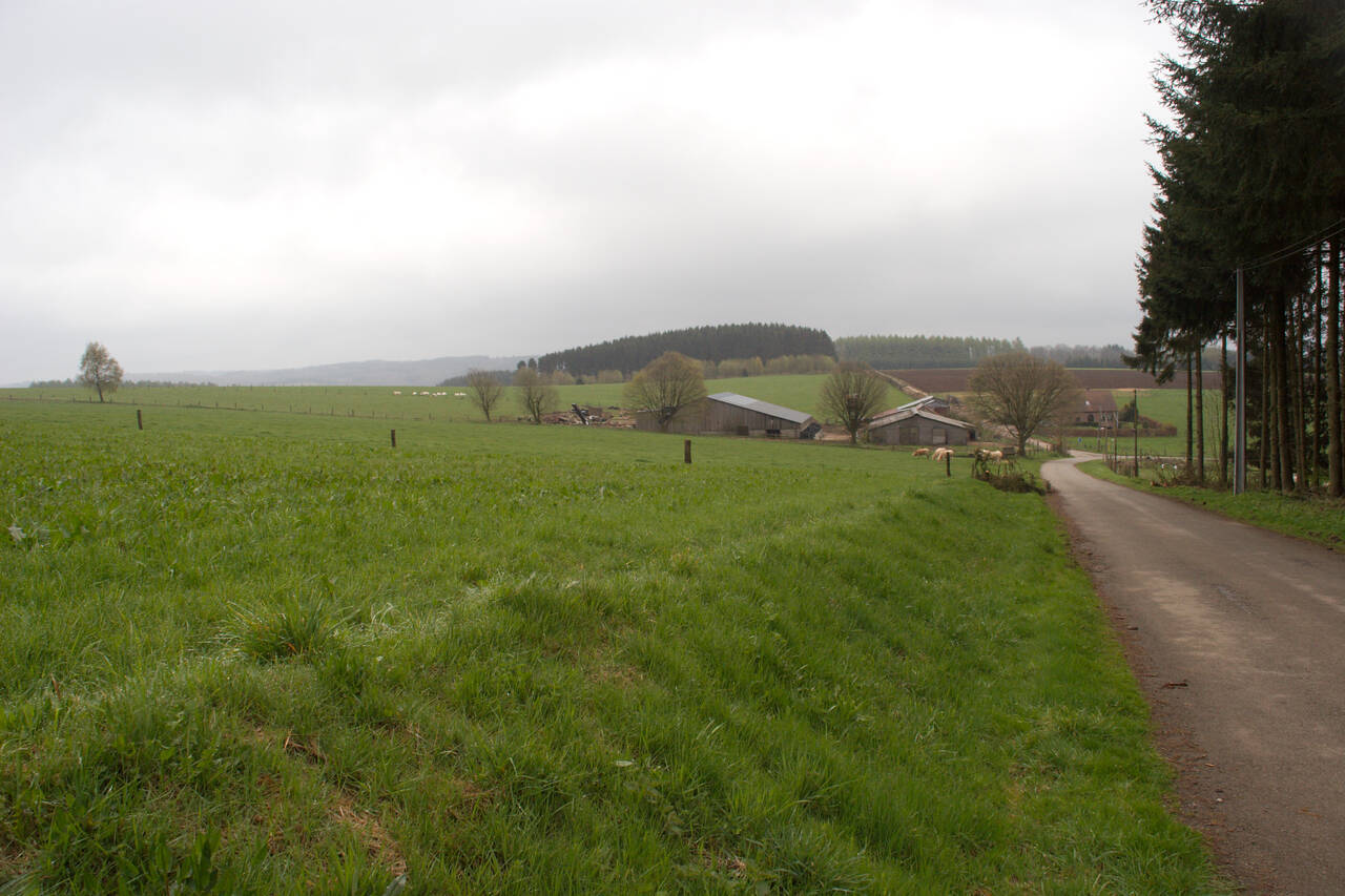 2008-04-25-0005.jpg