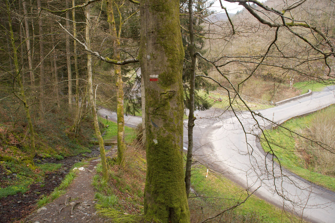 2008-04-25-0007.jpg